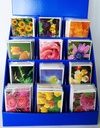 Présentoir de comptoir en carton 12 cases pour MINI cartes