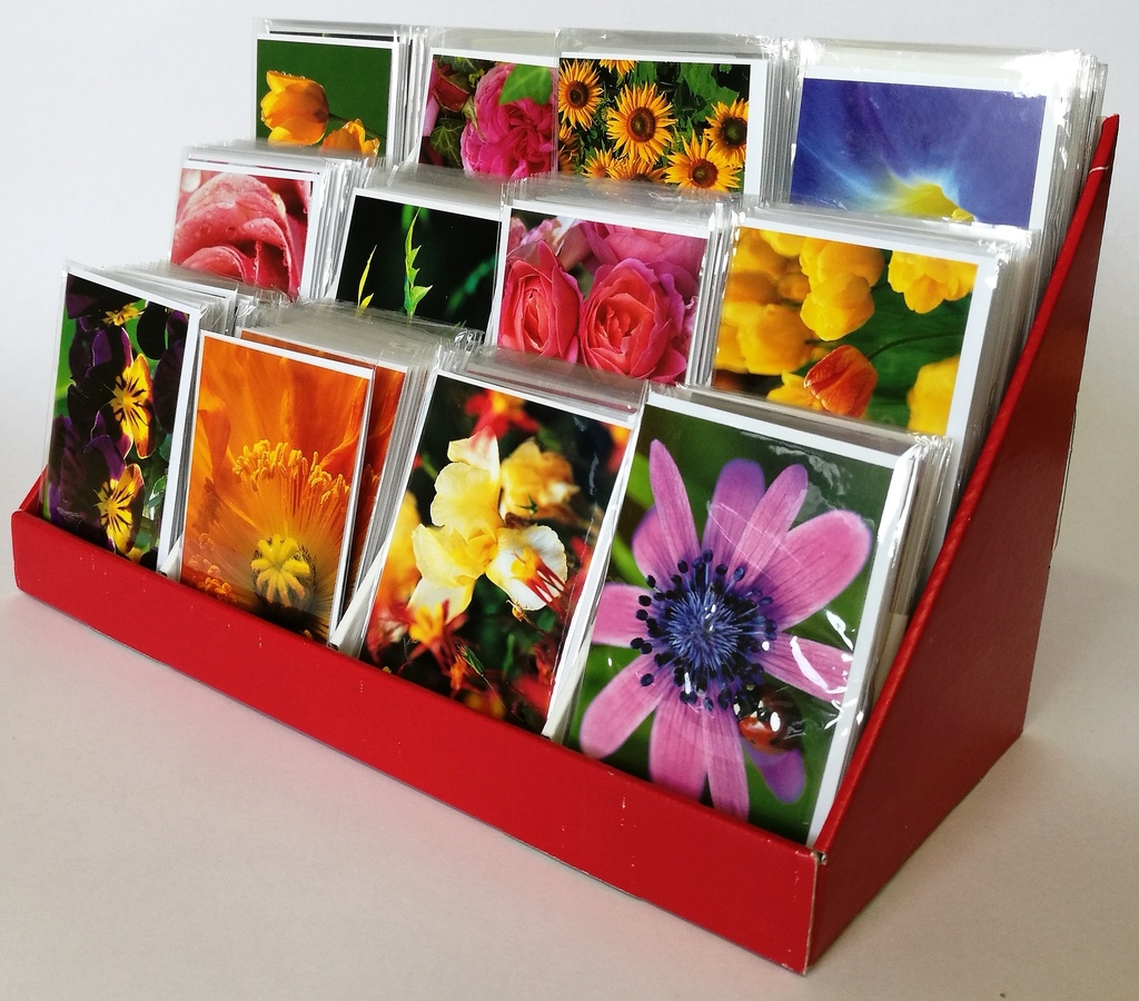 Présentoir de comptoir en carton 12 cases pour MINI cartes