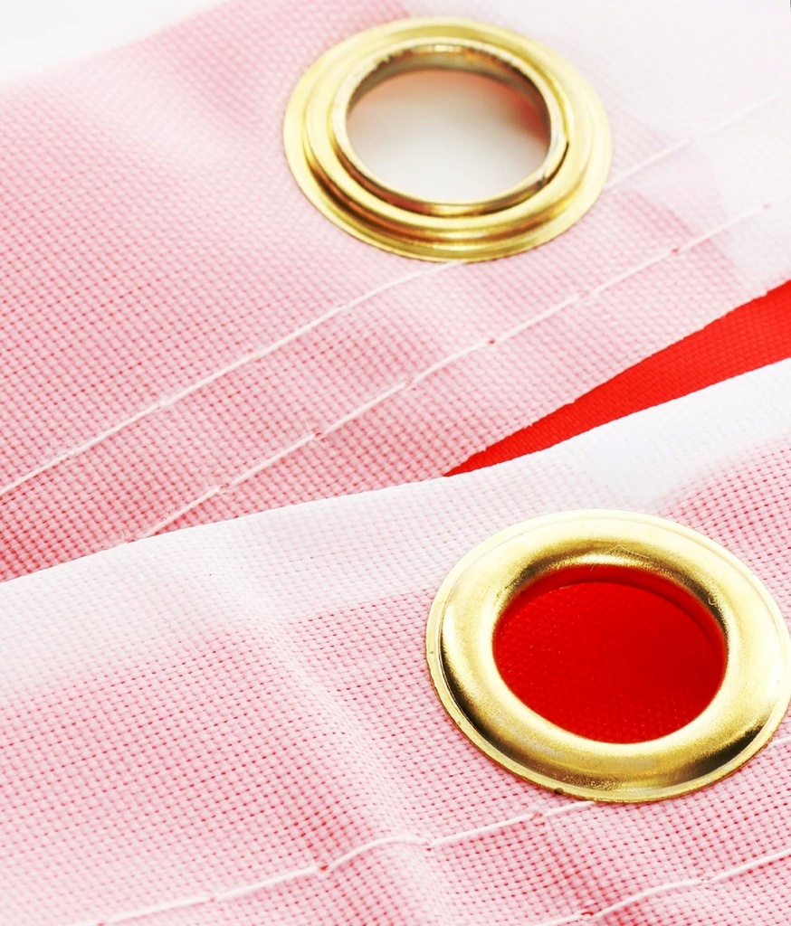 Drapeau suisse 100x140 cm