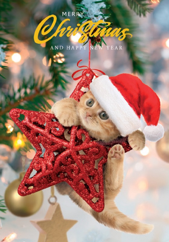 Carte Merry Christmas & New Year