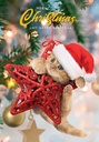 Carte Merry Christmas & New Year