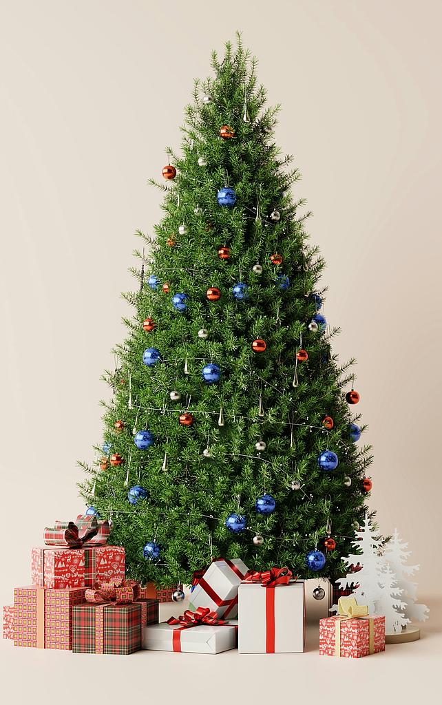Sachet 6 cartes Noël Sans texte