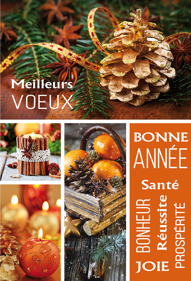 Carte Meilleurs voeux