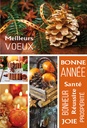 Carte Meilleurs voeux
