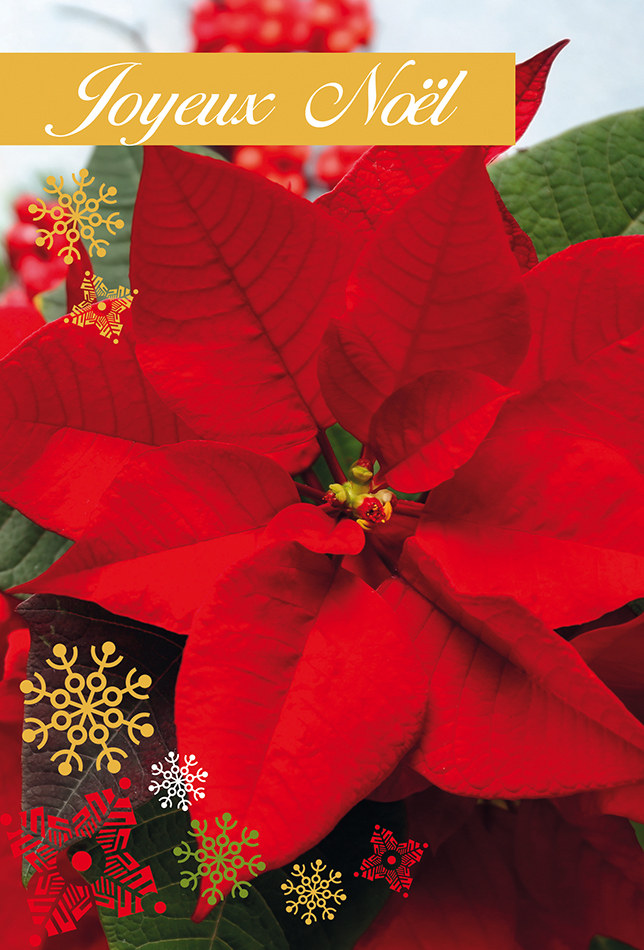 Carte Joyeux noël
