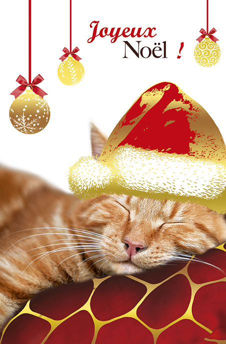 Carte Joyeux noël