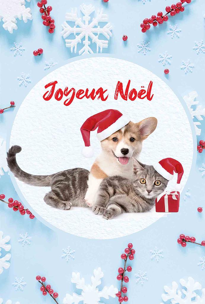Carte Joyeux Noël