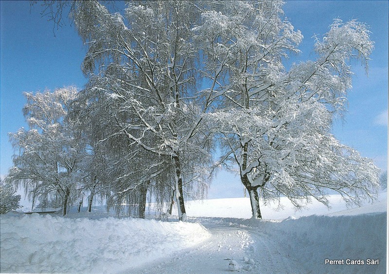Postcards 19098 w Winterlandschaft