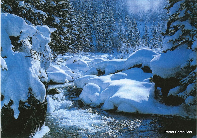 Postcards SOLDE N 145 91015 w Paysage d'hiver 