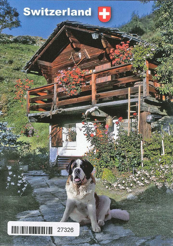 Postcards 27326 H Switzerland St-Bernard Berhardinerhund
