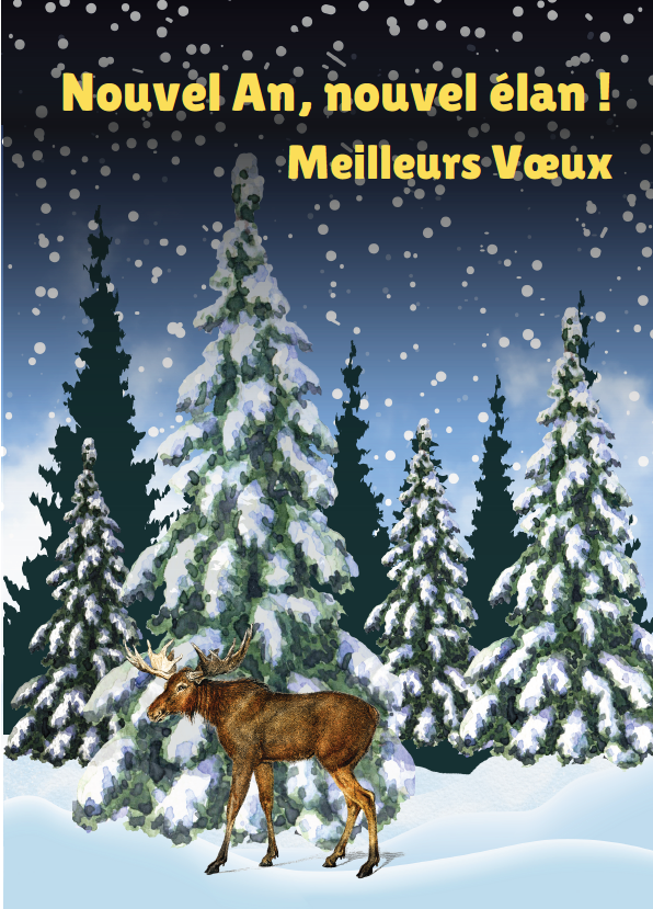 [#MV 5020] Carte Joyeux Noël (copy)