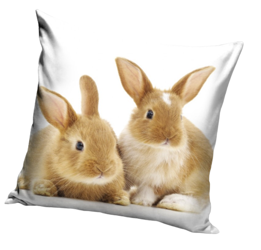 Coussin lapins