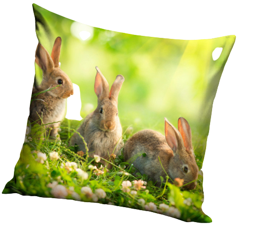 Coussin vert lapins