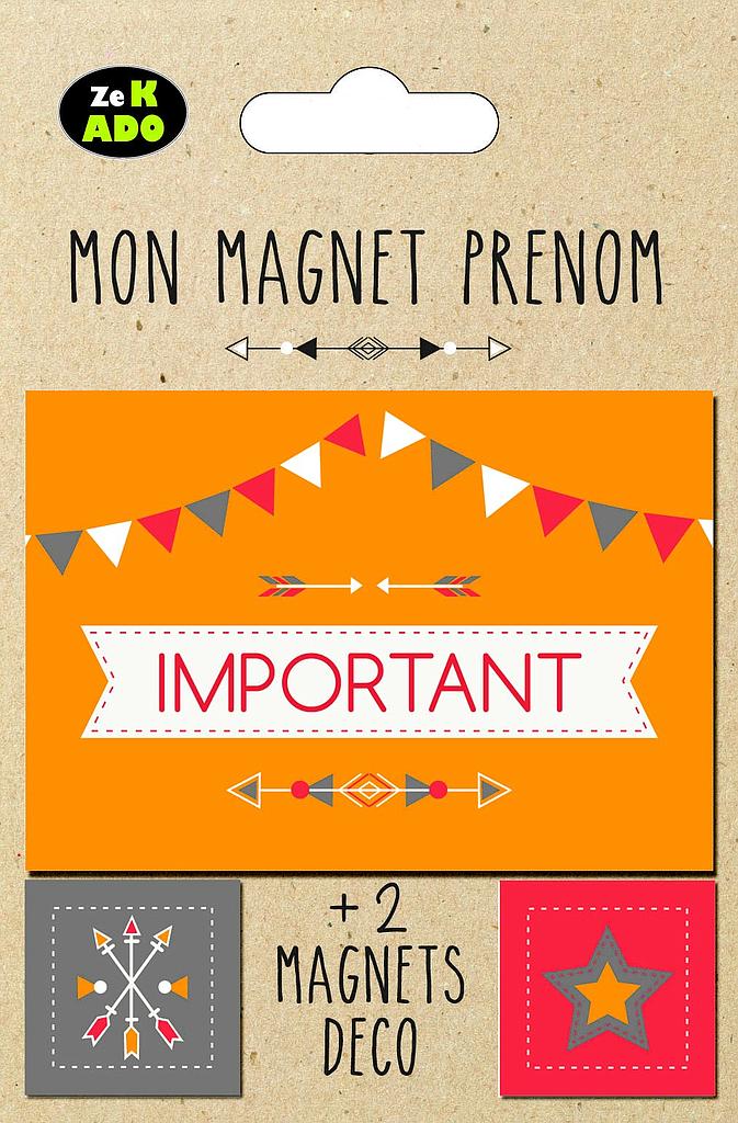 [MG 756132] Aimant "Important"