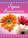 Autocollants en rouleau Joyeux anniversaire