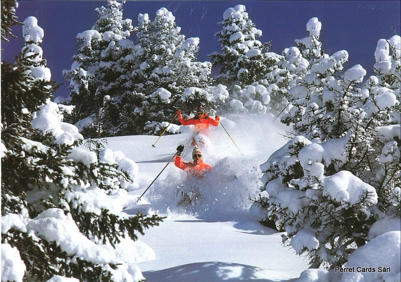 [206740] Postcards11236 w Wildes Skifahren 