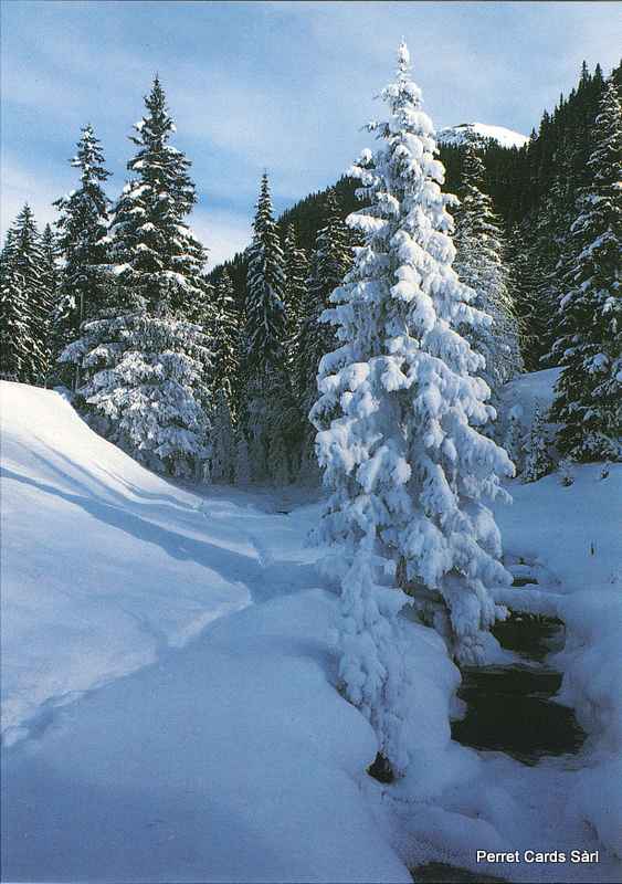 [206533] Postcards13156 w Winterlandschaft