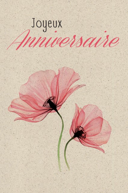 [#HA 4-5541-F] Carte Anniversaire
