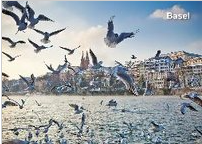Aimant 1001903 Bâle