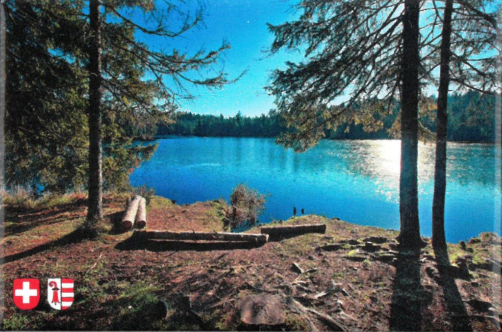 Aimant Etang de la Gruère