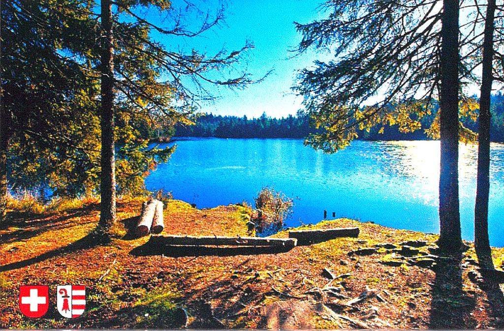 [MG Pi27723] Aimant en plexi Etang de la Gruère