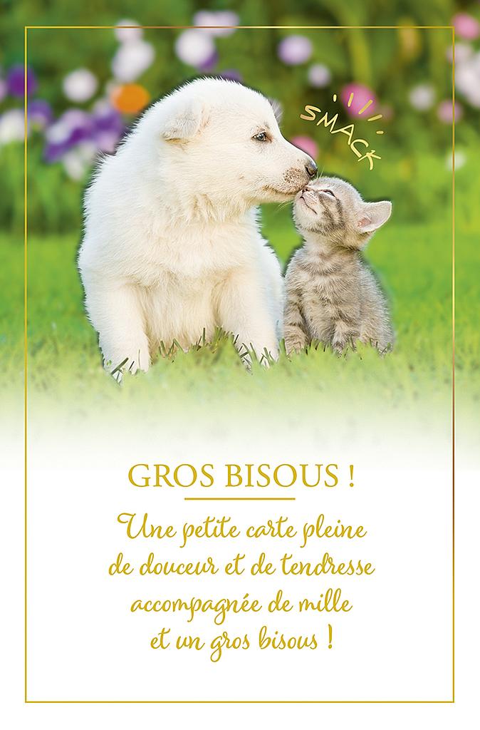 [AM 70028] Carte "Amour, Amitié"