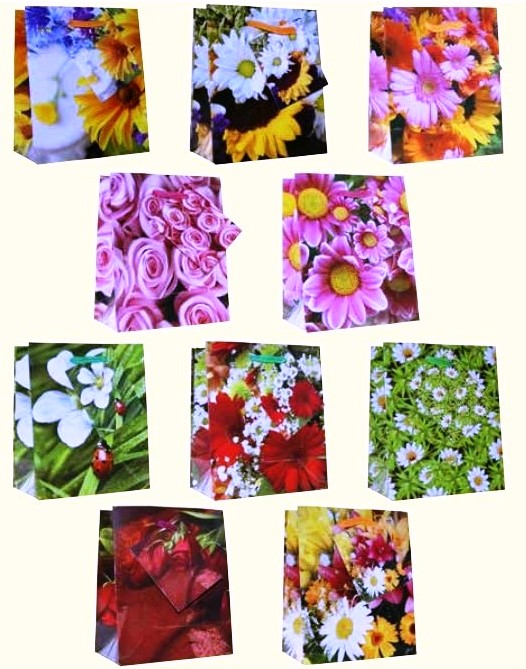 Serie 10 Geschenktaschen 1.90 S