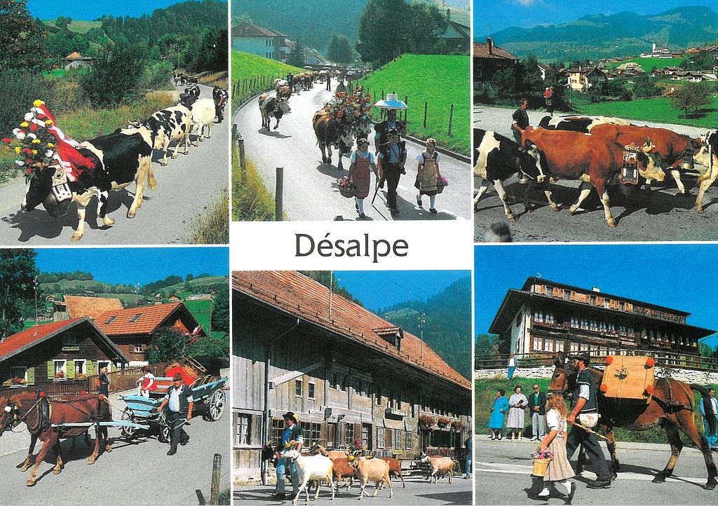 [CP 206074] Postcards 00232 Désalpe en Gruyère