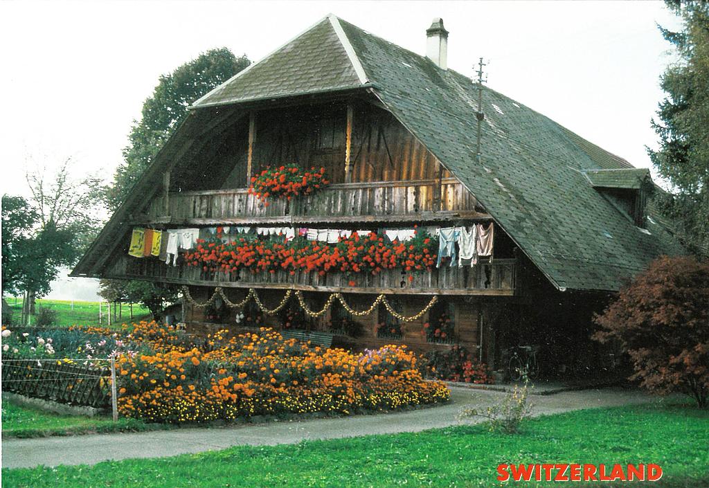 [CP 206618] Postcards 00250 Ferme typique