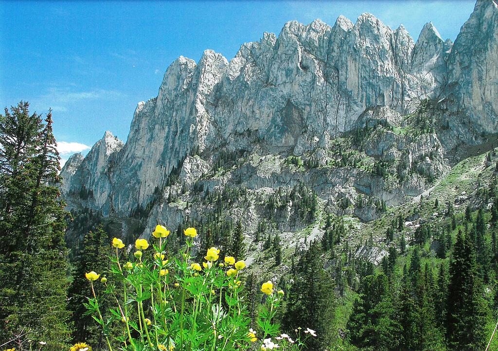 [CP 206834] Postcards 03601