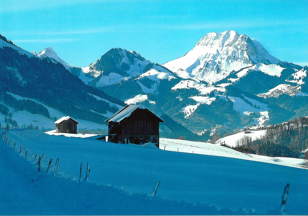 [CP 205957] Postcards 03656 w Charmey, vue sur le Moléson