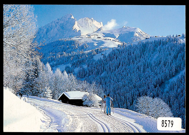 [CP 203164] Postcards 08579 w Villars-sur-Ollon