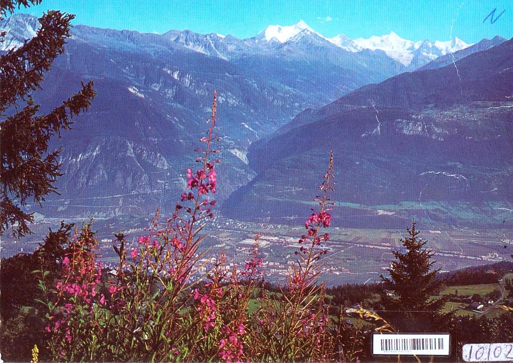 [CP 204876] Postcards 10102 Crans-Montana, Vermala