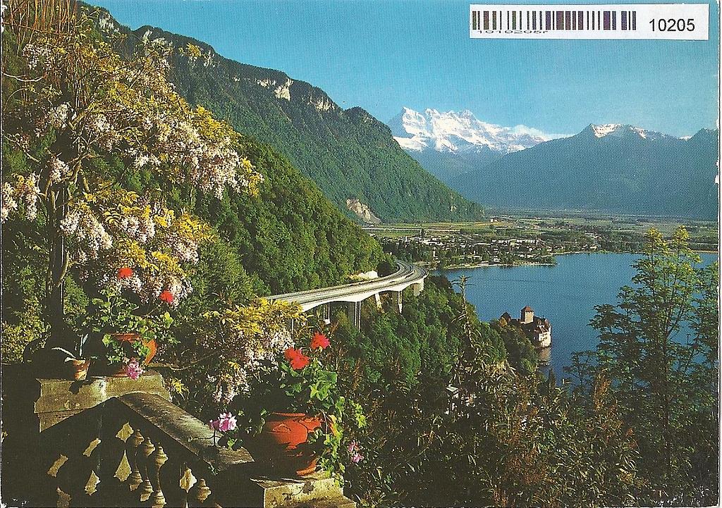 [CP 203255] Postcards 10205 Schloss Chillon