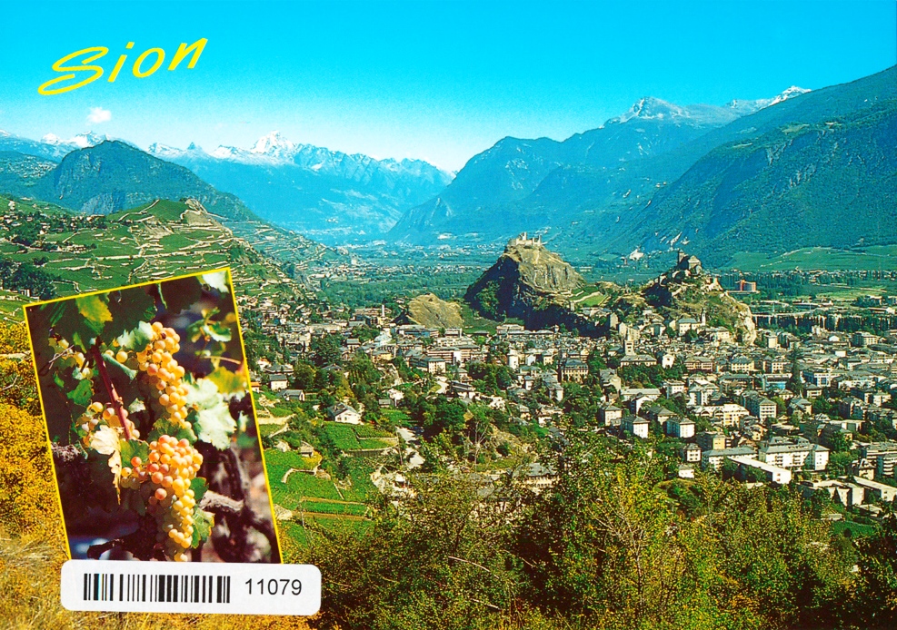 [CP 204984] Postcards 11079 Sion