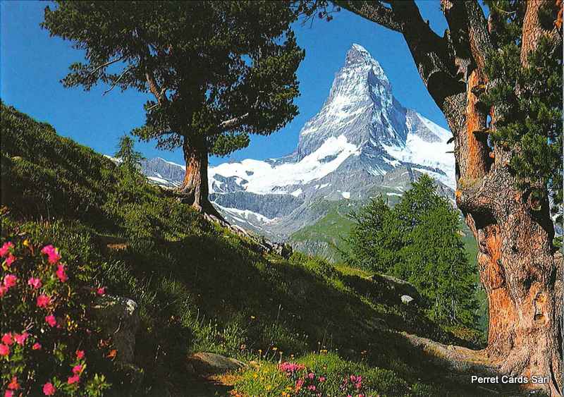 [CP 205178] Postcards11513 Matterhorn