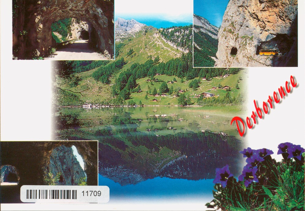 [CP 206837] Postcards 11709 Derborence (commune de Conthey)
