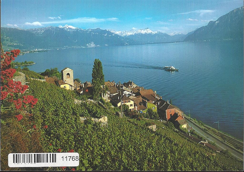 [CP 203561] Postcards 11768 St-Saphorin