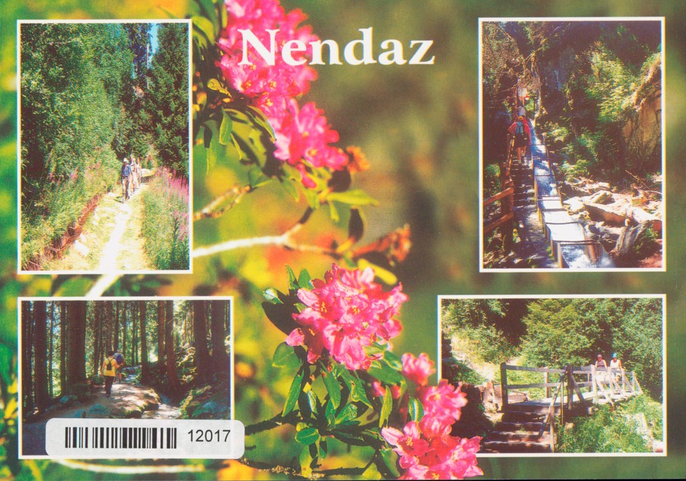 [CP 204779] Postcards 12017 Nendaz, bisse Vieux