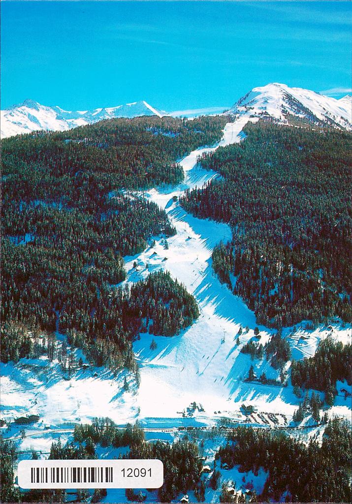[CP 204131] Postcards 12091 w Piste de l'Ours