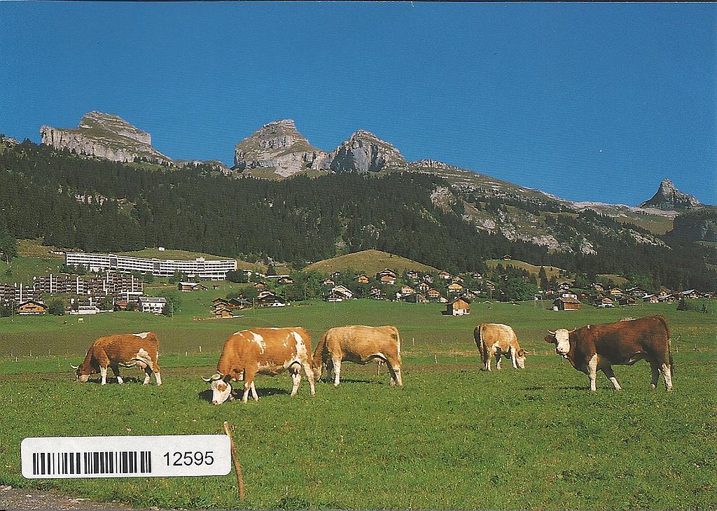 [CP 203293] Postcards 12595 Leysin-Tour d'Aï et Mayen