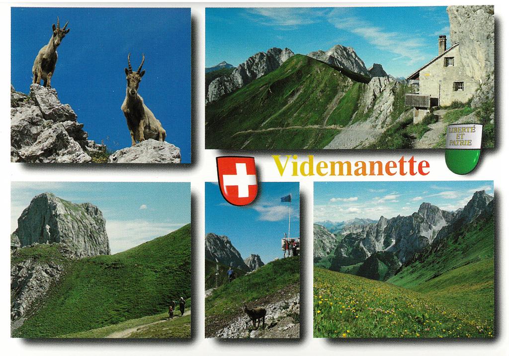 [CP 203250] Postcards 18962 Rougemont-Videmanette