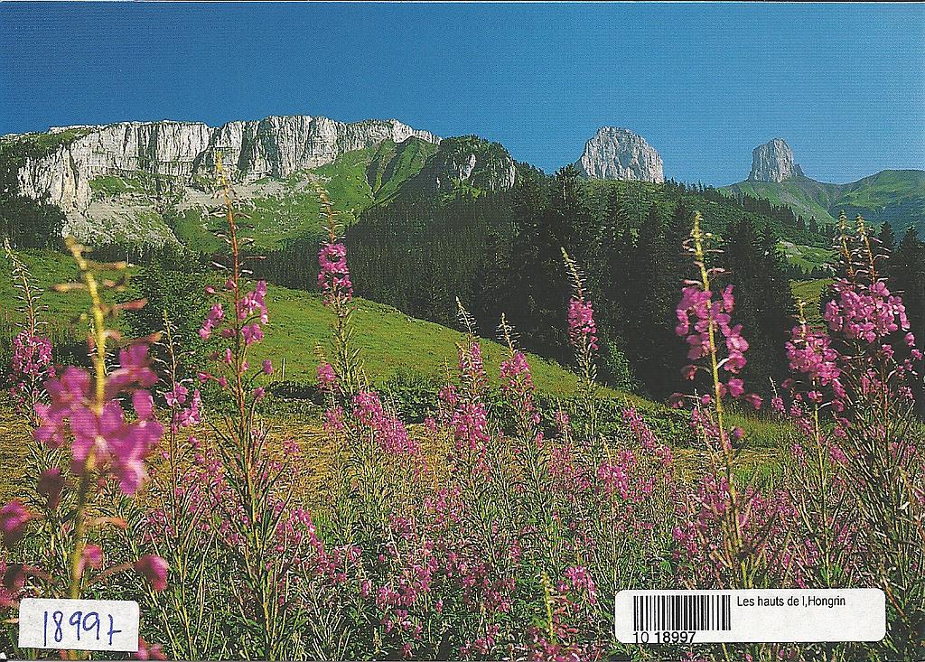 [CP 203423] Postcards 18997 Les hauts de l'Hongrin