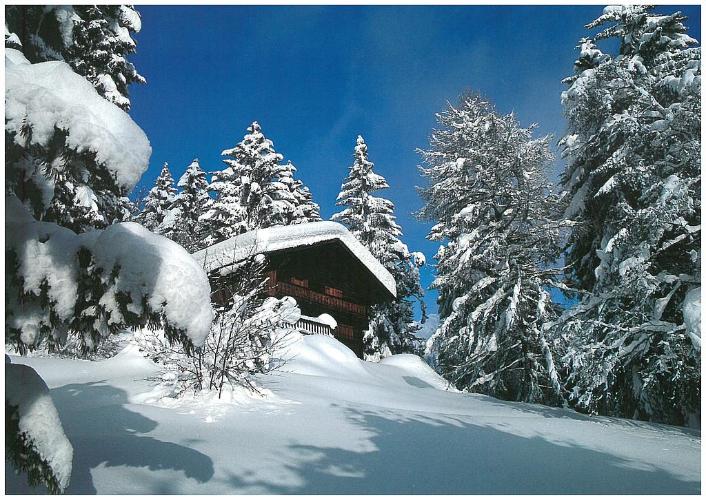 [CP 203602] Postcards 19085 w Paysage d'hiver, chalet