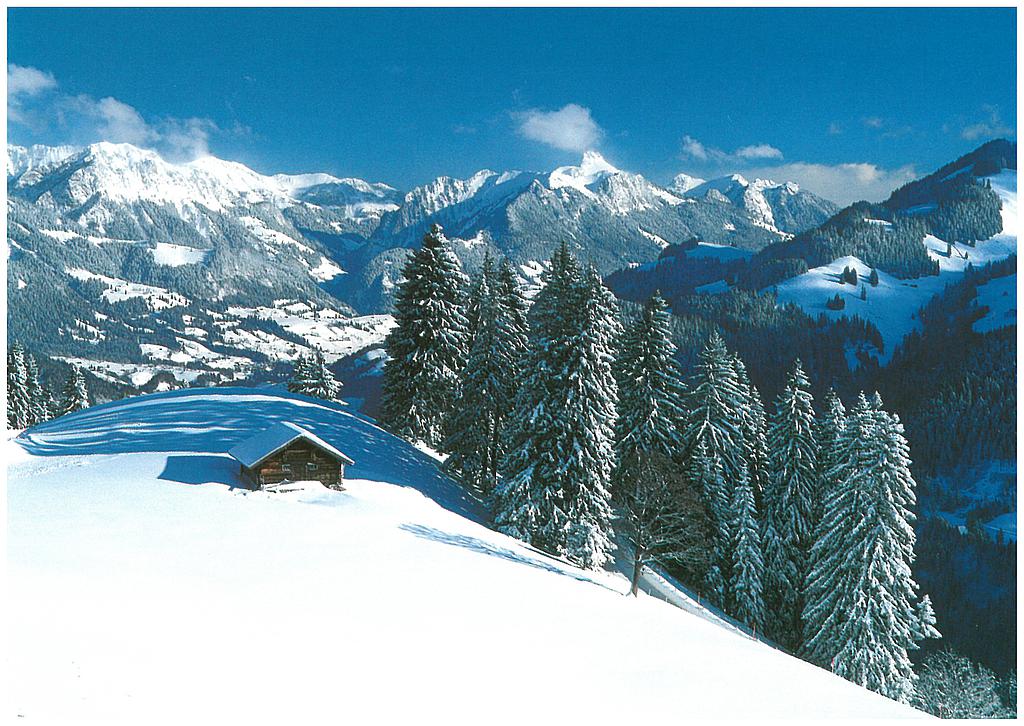 [CP 206098] Postcards 19088 w Jaunpass Simmental