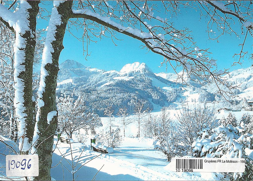 [CP 206096] Postcards 19096 w Gruyères, Moléson