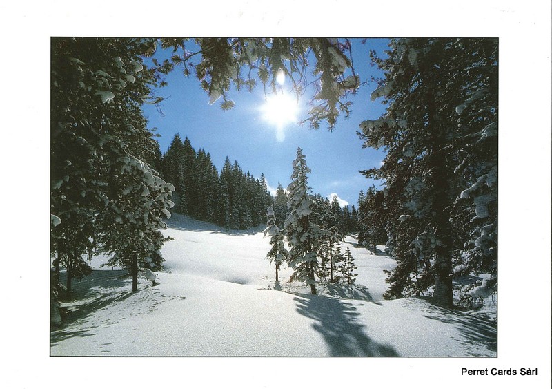 [CP 206508] Postcards 19425 w Paysage d'hiver