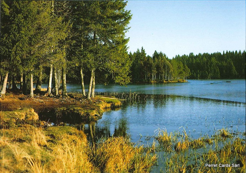 [CP 209385] Postcards 20715 étang de la Gruère