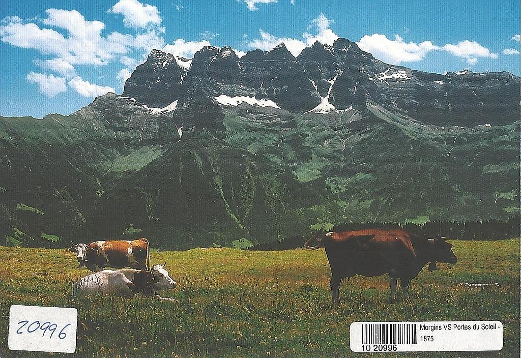 [CP 204817] Postcards 20996 Morgins