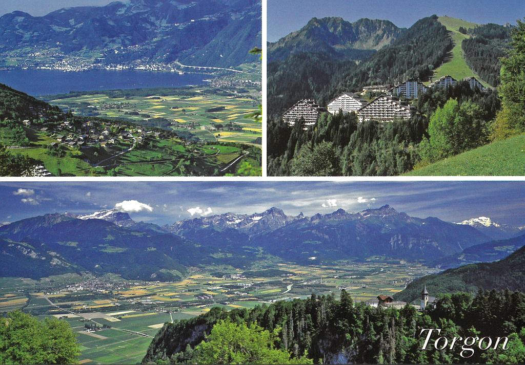 [CP 204455] Postcards 21027 Torgon